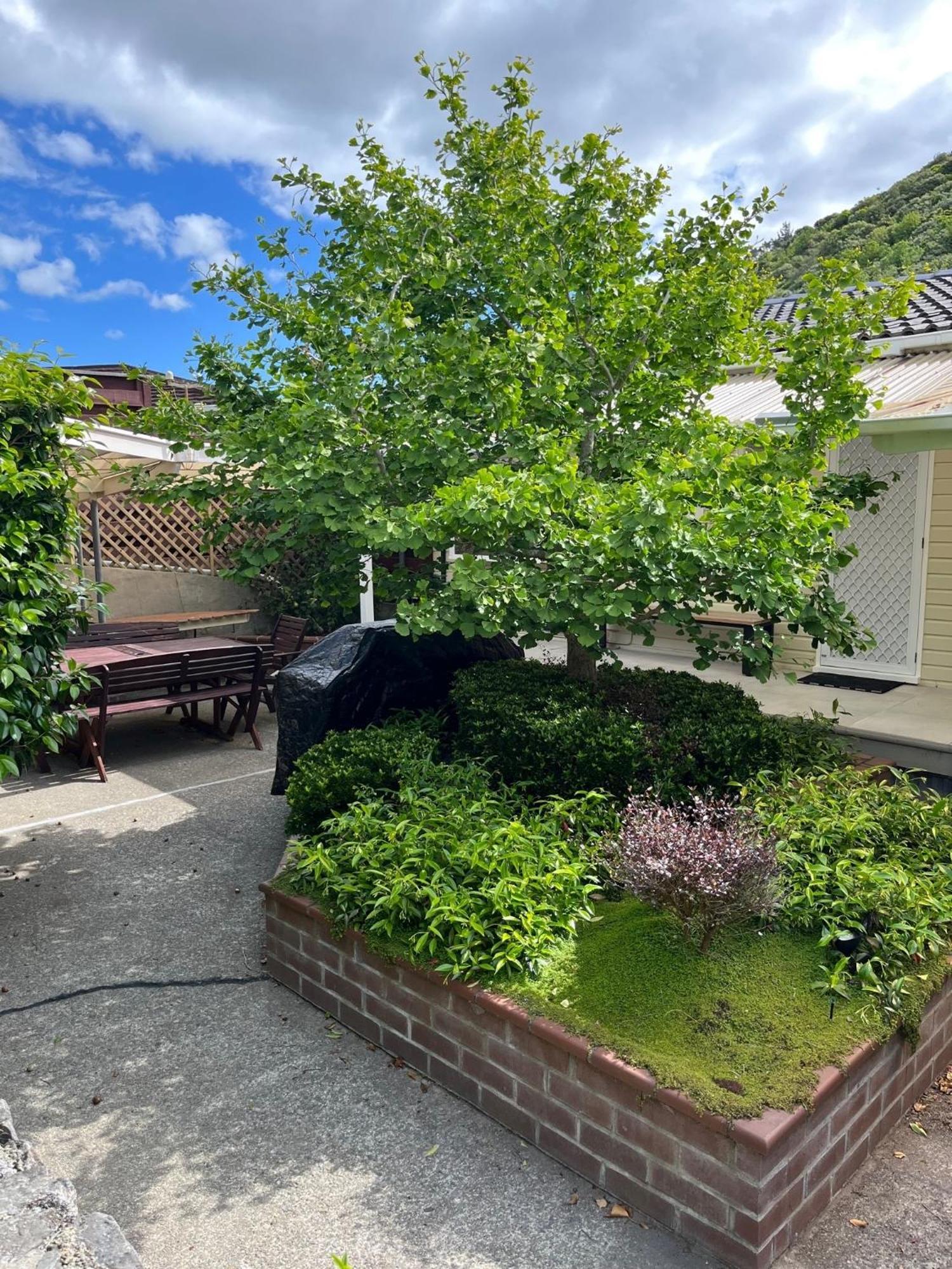 Retro 4 Bedroom Home, Warm And Welcoming, Quiet Location Porirua Esterno foto